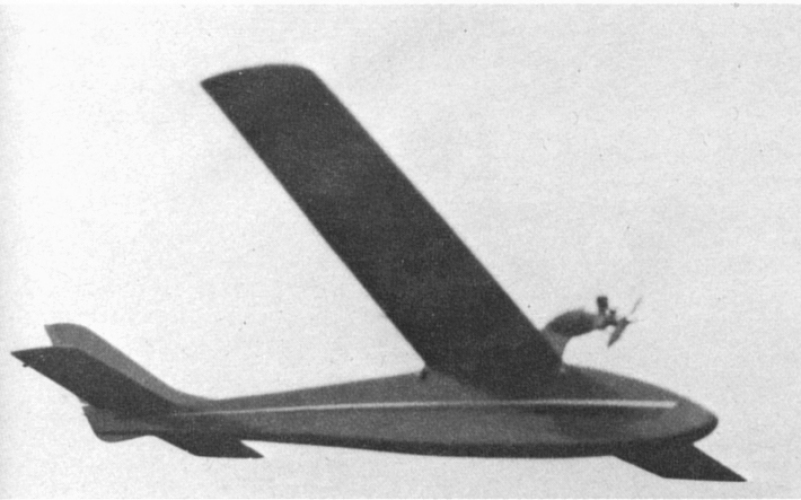 Kestrel